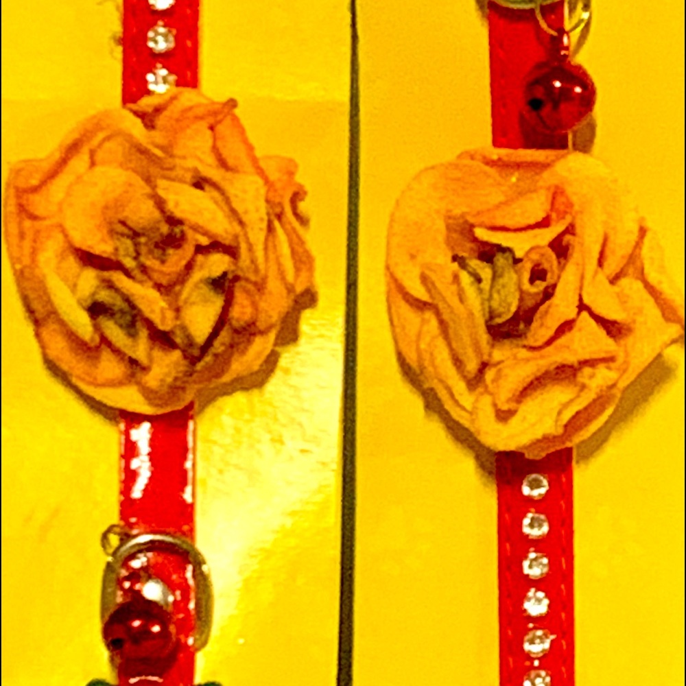 Pet Rhinestone Per Collar